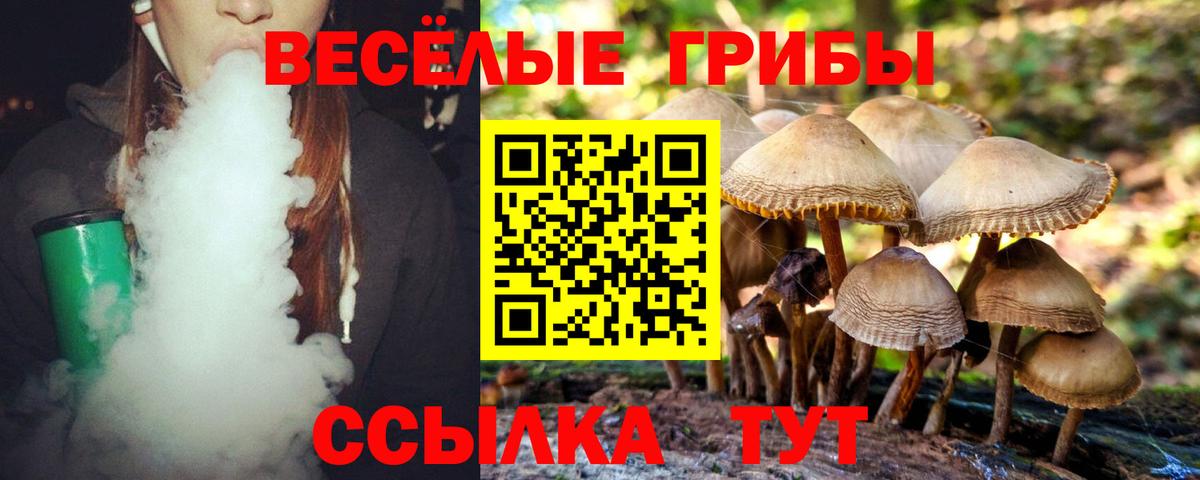 Воронеж  Псилоцибиновые грибы Cubensis  Вход с VPN 